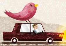 studiotomso-illustration-voyage-voiture